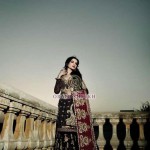 obaid sheikh designs beautiful collection for women