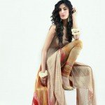 Shamaeel Ansari Western Trendy Couture collection