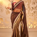 Expensive Saree Trends 2013 13