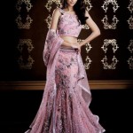 Expensive-Saree-Trends-2013 3