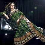 Expensive Saree Trends 2013 4