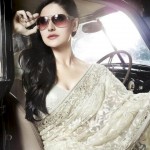 Expensive Saree Trends 2013 8