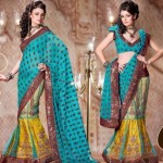 Indian Designer Tissue Sarees Collection 2013 for Women 1