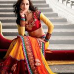 Indian Designer Tissue Sarees Collection 2013 for Women