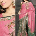 Indian Designer Tissue Sarees Collection 2013 for Women 2