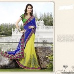 Indian Designer Tissue Sarees Collection 2013 for Women 3