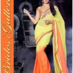 Hot Jacqueline Fernandez Indian Sarees 2016 Fashion Design (3)