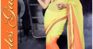 Hot Jacqueline Fernandez Indian Sarees 2016 Fashion Design (3)