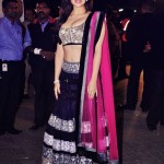 Bollywood Actress Splendid Lehenga Choli 2016 For Wedding (8)