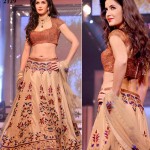 Bollywood Actress Splendid Lehenga Choli 2016 For Wedding (5)