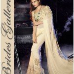 Bollywood Actress Jacqueline Fernandez Amazing Sarees (1)