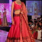 Bollywood Actress Splendid Lehenga Choli 2016 For Wedding (3)