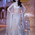 Bollywood Actress Splendid Lehenga Choli 2016 For Wedding (4)