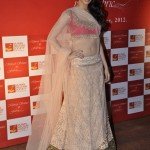 Bollywood Actress Splendid Lehenga Choli 2016 For Wedding (7)