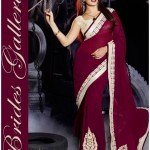 Bollywood Actress Jacqueline Fernandez Amazing Sarees 2015 (2)