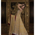 Traditional Fancy Party Wear Dresses for wedding