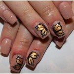 Trendy art of Nail Art Butterfly