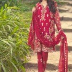 Mina Hasan Winter Volume 2 Collection 2016 By Shariq Textile (3)