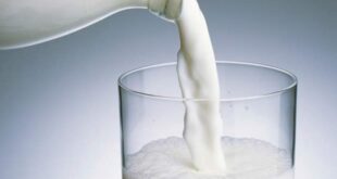 Cow Milk regularly Protects Fatty Children from Diabetes
