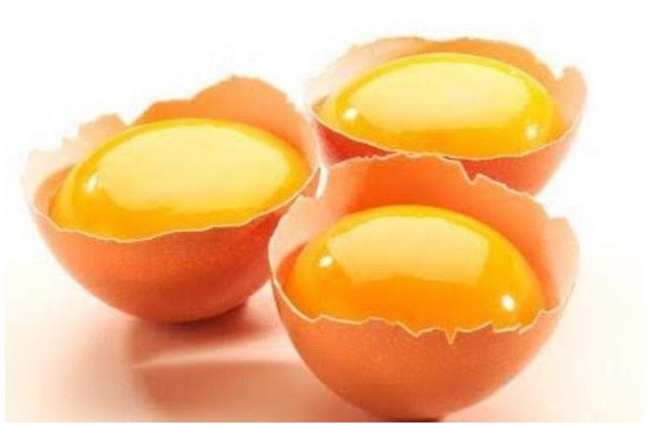 Brain Food and Egg Yolks Health Benifits