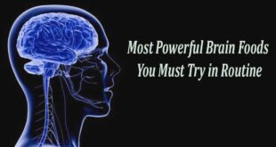 06 Best Foods to Boost Your Brain and Memory must use
