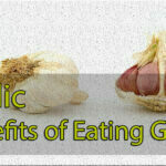 Best Health Benefits Of Garlic