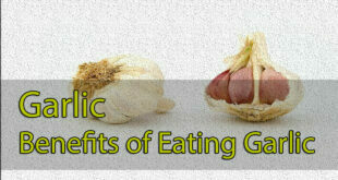 Best Health Benefits Of Garlic
