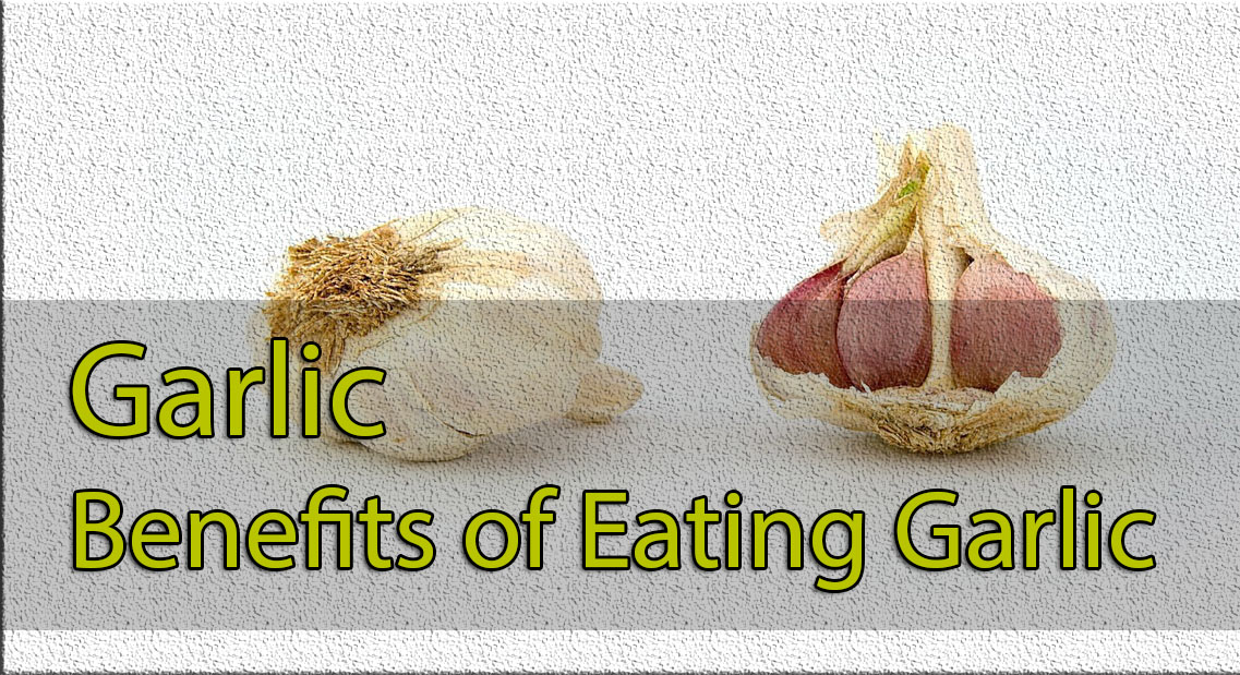 Best Health Benefits Of Garlic