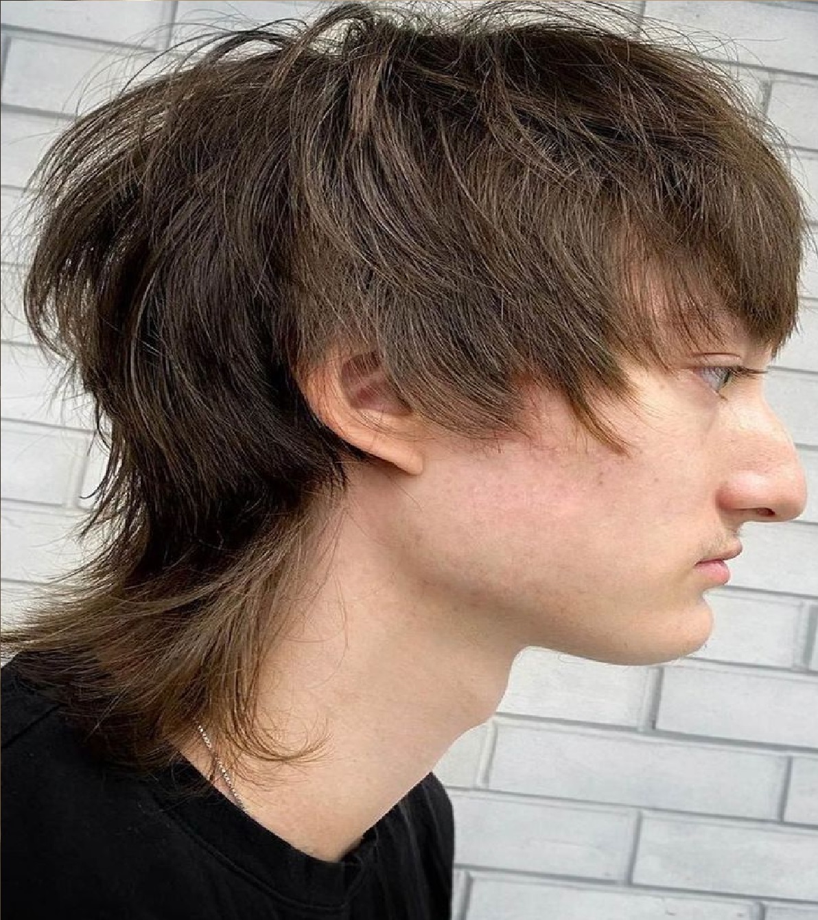 The Mullet for Thin Hair Cut for hot boys in New year