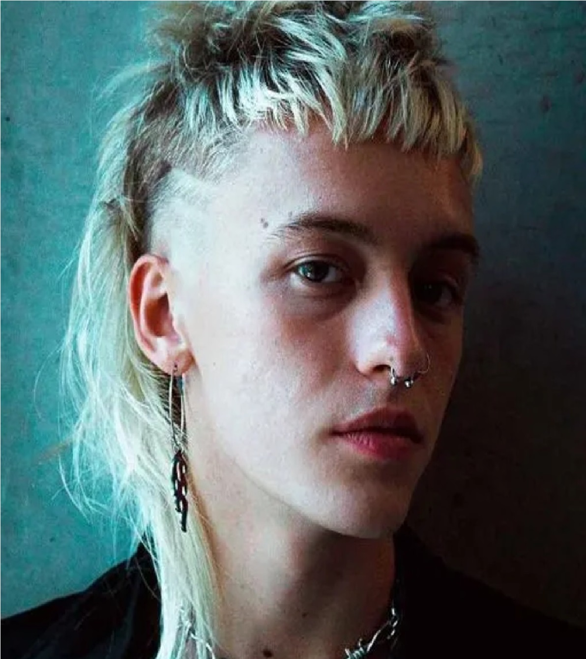 The Punk Mullet Haircut